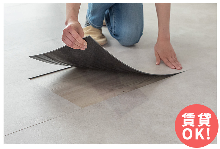 置くだけ吸着ルーズレイタイプ