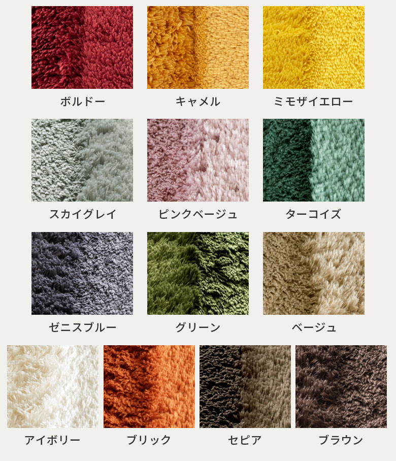 毛色の見え方について