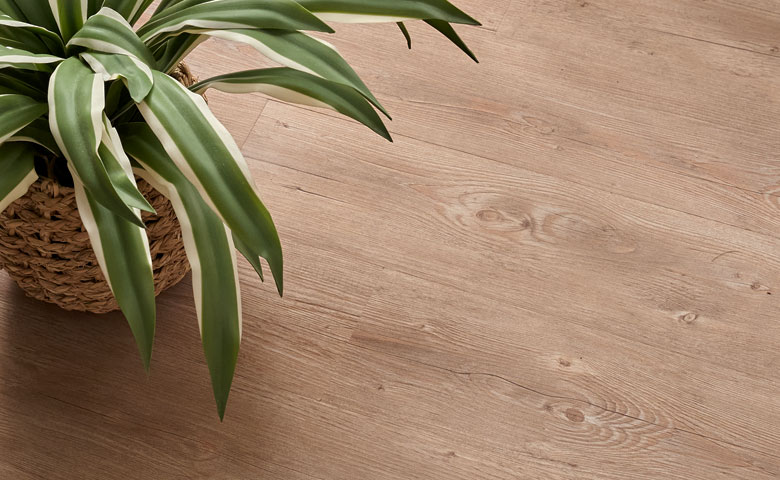 アッシュパイン